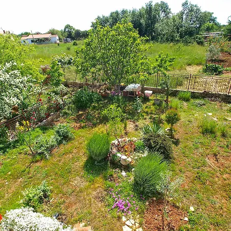 Anto 1028 Apartman Fazana
